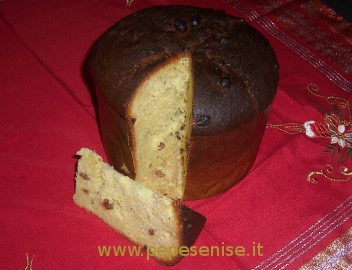 PANETTONE DI NATALE